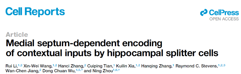 iHuman研究所周宁课题组揭示海马体区分细胞如何动态编码情境输入与决策